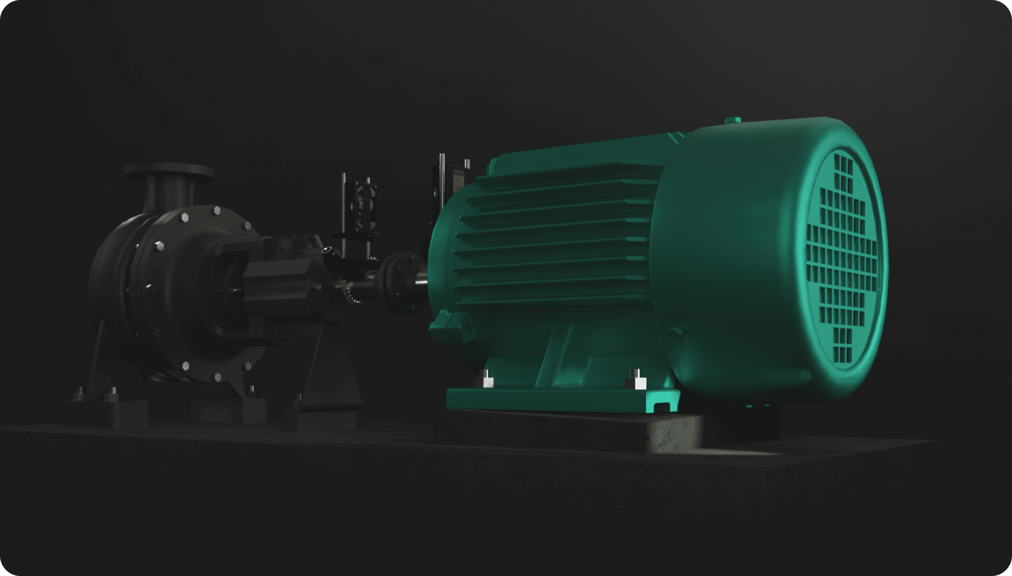 МЯГКАЯ ЛАПА